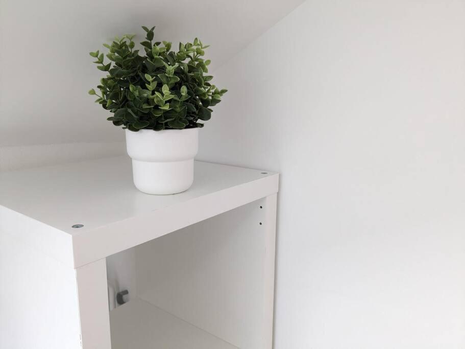 Métabief Magnifique Appartement Entierement Renove Au Pied Des Pistes מראה חיצוני תמונה